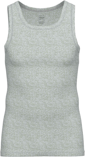 AMMANN Organic Close to you Athletic Shirt cloud melange