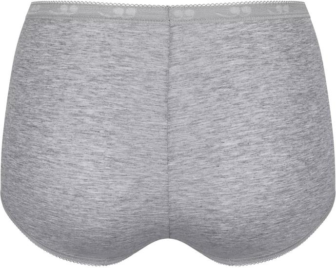 Sloggi Basic H Maxi 2er Pack grau