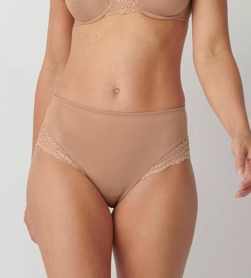 Triumph Briefs Ladyform Soft Maxi smooth skin
