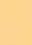 irisette jersey jupiter 0008 honig