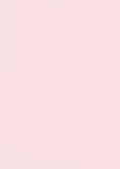 irisette jersey royal 0003 rose