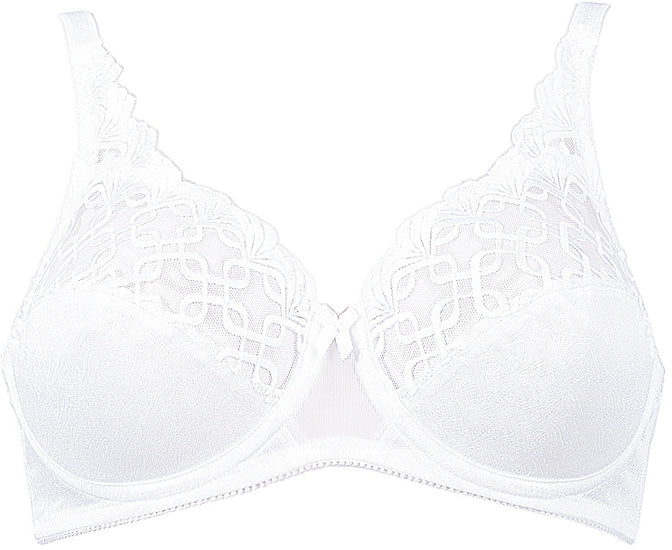 Triumph Letizia mit Formbügel 01