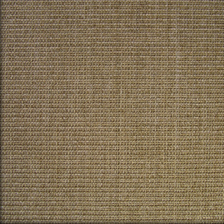 Sisal Teppich Salvador mit Bordüre creme stein 60x90 cm 100% Sisal 