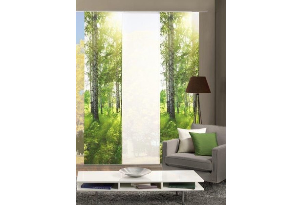 cm 245x60 aus SET Dekostoff 3er Schiebevorhang Home Wohnideen grün digitalbedruckt GALWAY
