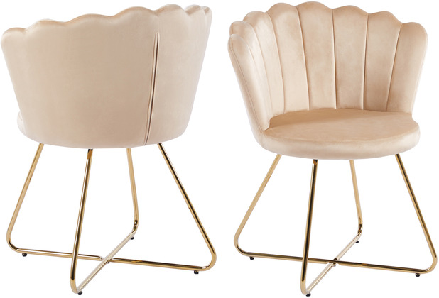 SalesFever Muschelstuhl aus Samt 2er Set Beige Samt (100% Polyester),  Metall Beige, Gold | 4-Fuß-Stühle